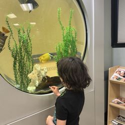 Elk Grove Pediatrics