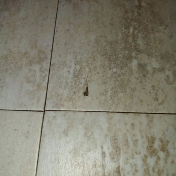 Empire Today - Carpet Installation Near Me