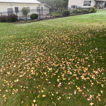 Green Grove Yard Maintenance - Lawn Services Near Me Green Grove Yard Maintenance - Lawn Services Near Me