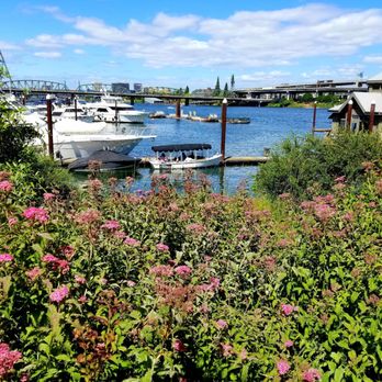 Il Terrazzo - Tables outside have views of harbor and many bridges - Italian Near Me - Portland, Oregon Il Terrazzo - Tables outside have views of harbor and many bridges - Italian Near Me - Portland, Oregon