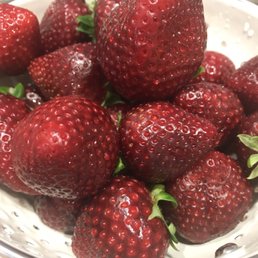 Best strawberries we've had in a very long time! Got one 3-pack yesterday , and just went to get two more 3-packs at $20 total. Best strawberries we've had in a very long time! Got one 3-pack yesterday , and just went to get two more 3-packs at $20 total.