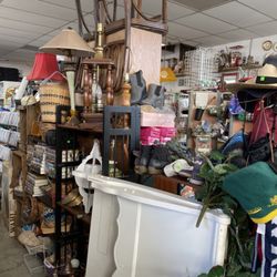 Red Lizard Resale