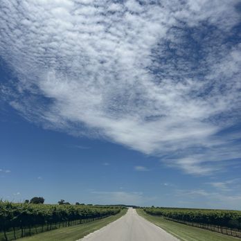 Augusta Vin Winery - Wine Tasting Room Near Me - Fredericksburg, Texas