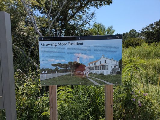 Ocracoke Lighthouse by null