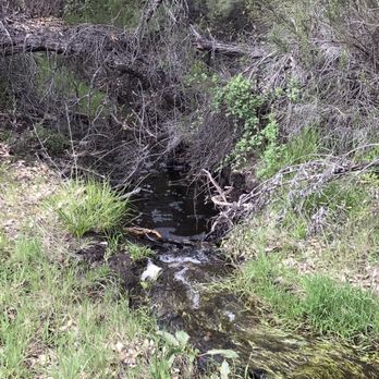 Oakoasis County Preserve - Running water - Parks Near Me - Lakeside, California