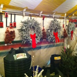 Happy Holiday Christmas Trees