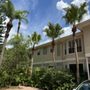 Photo of A Little Off The Top Tree Removal and Trimming