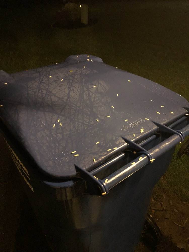 B & N DISPOSAL Updated August 2024 5051 Fox Rd, Palmyra, New York Junk Removal & Hauling