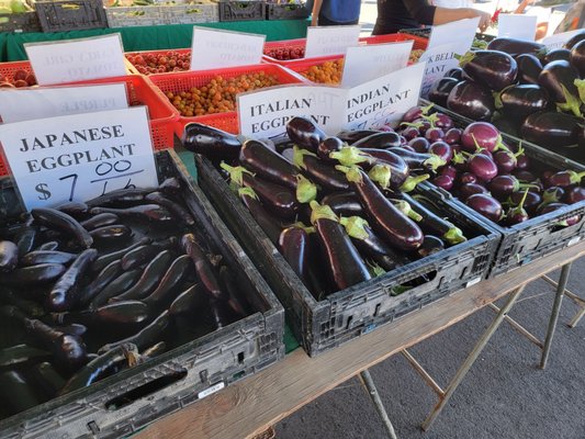 Sunday Marin Farmers' Market by null