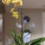 Photo of Life Oral Health Periodontics and Implant Surgery