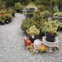 Foxglove Farm & Garden Supplies - Foxglove Farm & Garden Supplies on Saltspring Island
