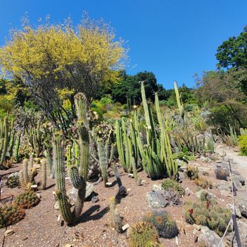 UC Botanical Garden at Berkeley - Botanical Gardens Near Me - Berkeley, California