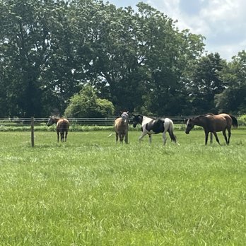13 Points Farm - Horse Boarding Near Me - Hamshire, Texas