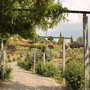 Photo of Quinta de Covela