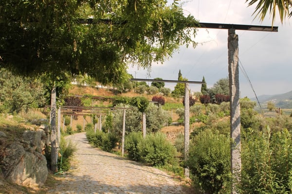 Quinta de Covela by null