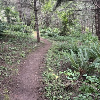 Humboldt Botanical Garden - Community Service/Non-Profit Near Me - Eureka, California Humboldt Botanical Garden - Community Service/Non-Profit Near Me - Eureka, California