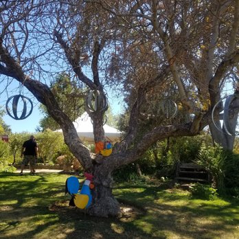 Young's Vineyard - Wineries Near Me - Plymouth, California Young's Vineyard - Wineries Near Me - Plymouth, California