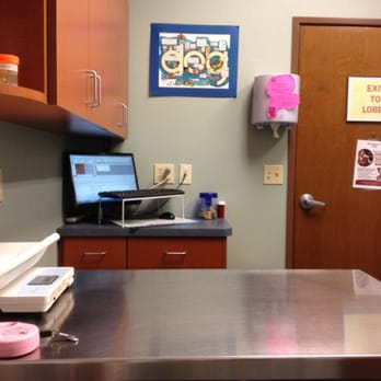 Higley Road Pet Clinic - Nice quiet appointment rooms. - Veterinarians Near Me - Gilbert, Arizona Higley Road Pet Clinic - Nice quiet appointment rooms. - Veterinarians Near Me - Gilbert, Arizona