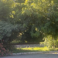 Spotswood Public Library