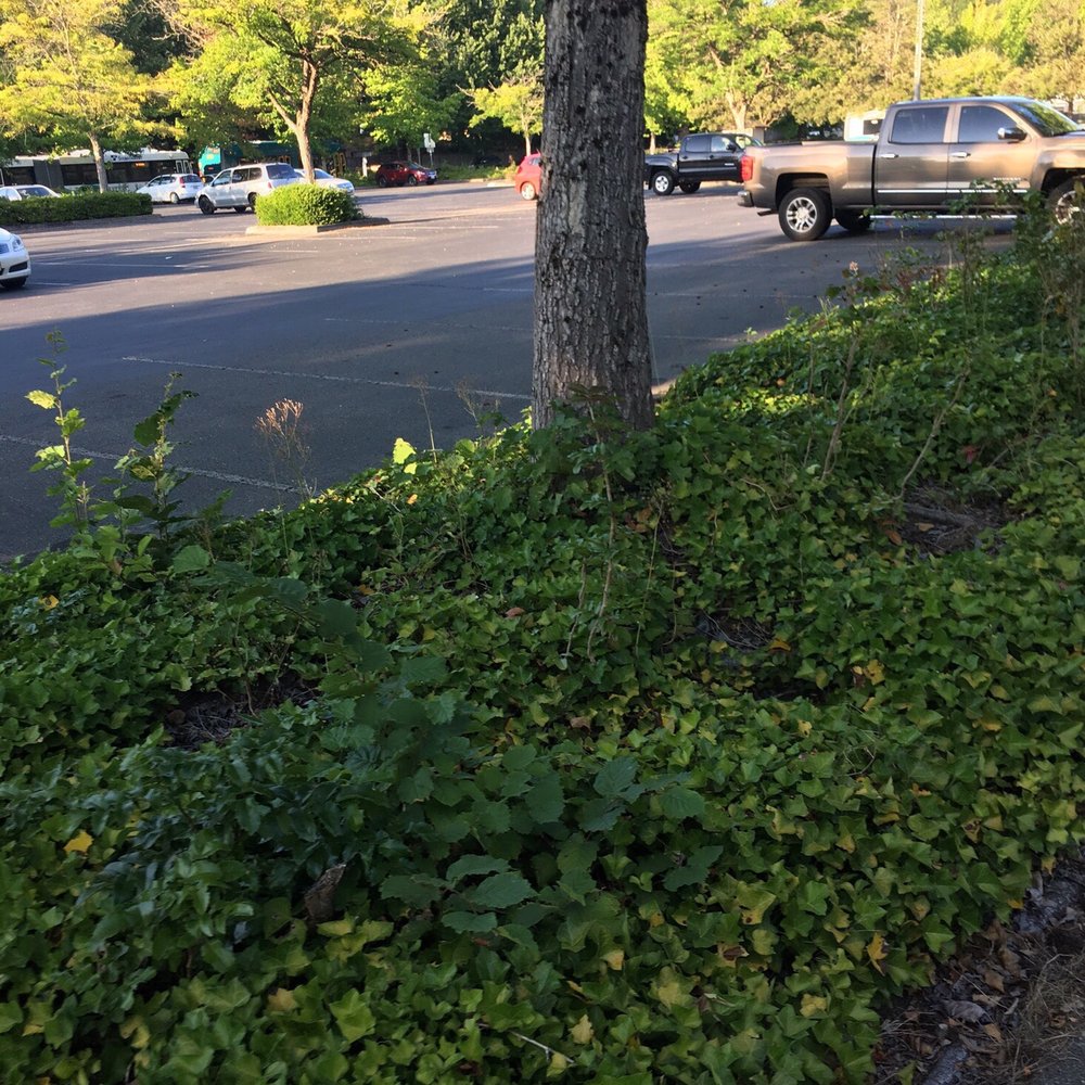 TOP 10 BEST Cheap Monthly Parking near Woodinville, WA - Updated 2026 - Yelp