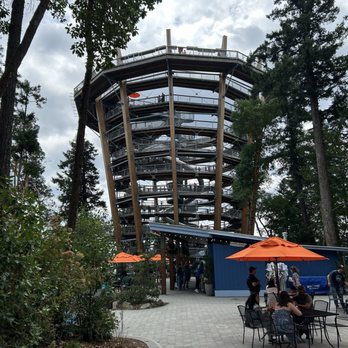 Malahat Skywalk - Historical Tours Near Me - Malahat, British Columbia