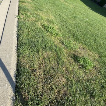 TruGreen Lawn Care - Lawn Services Near Me - Nashville, Tennessee TruGreen Lawn Care - Lawn Services Near Me - Nashville, Tennessee