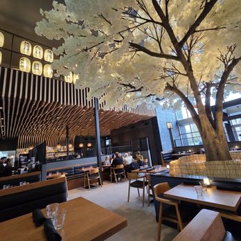 Kenji's - Atmosphere - Ramen Near Me - Vancouver, Washington Kenji's - Atmosphere - Ramen Near Me - Vancouver, Washington