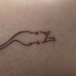 supposed to be a cute little cat but its missing its whiskers and other leg is unfinished . supposed to be a cute little cat but its missing its whiskers and other leg is unfinished .