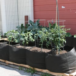 Paradigm Gardens - Growing plants in Smart Pot containers! We have lots of sizes available.