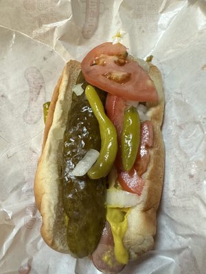 Clark Street Dog by null