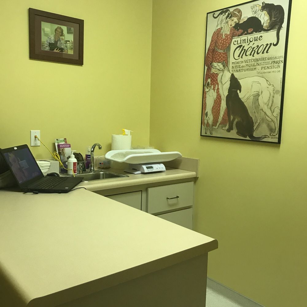 Wakarusa Veterinary Hospital - Treatment room - Veterinarians Near Me - Lawrence, Kansas