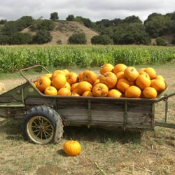 Santa Ynez Valley Wine Growers Assoc Annual Event