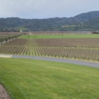 Opus One Winery - View of vineyard - Wineries Near Me - Oakville, California