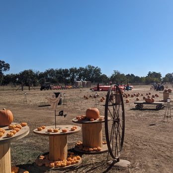 Mike’s Pumpkin Patch - Pumpkin Patches Near Me - Galt, California