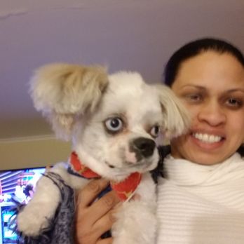 Honey's Grooming Parlor - 1 year old customer - Pet Groomers Near Me - Alsip, Illinois