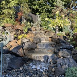 Anthony and Sons Landscape Design & Consulting
