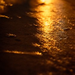 Bitfactory Gallery & Studios - Miguel
A Golden Night Trail
Digital Print on Paper
14 X 9 inches
2022