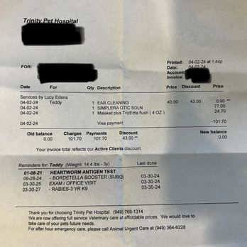 Dream Pet Grooming - Vet bill due to ear infection in both ears. - Pet Groomers Near Me - Irvine, California Dream Pet Grooming - Vet bill due to ear infection in both ears. - Pet Groomers Near Me - Irvine, California