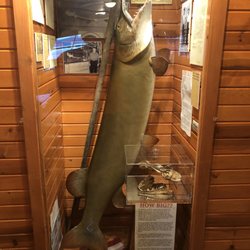 The Landing Resort - Fun musky display