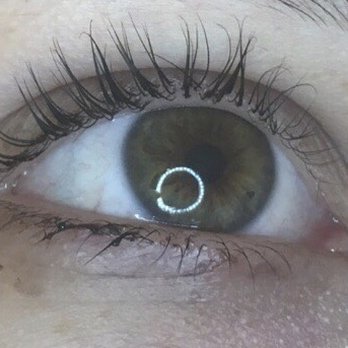 Brow Contour - Lashes after receiving a lash lift at Waxetera in Phx, AZ - Sugaring Near Me - Washington, DC, District of Columbia Brow Contour - Lashes after receiving a lash lift at Waxetera in Phx, AZ - Sugaring Near Me - Washington, DC, District of Columbia