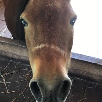 The Farm - Neighhhhhhh - Farms Near Me - Sturgeon Bay, Wisconsin The Farm - Neighhhhhhh - Farms Near Me - Sturgeon Bay, Wisconsin