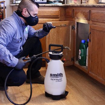 Complete Pest Control - Thoroughly inspecting a kitchen to solve pest control problems. - Pest Control Near Me - Colorado Springs, Colorado Complete Pest Control - Thoroughly inspecting a kitchen to solve pest control problems. - Pest Control Near Me - Colorado Springs, Colorado