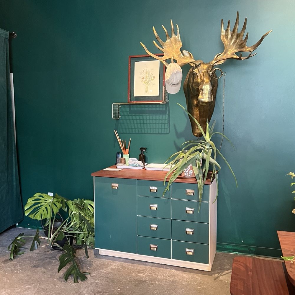 PLNTR - Floral Designers Near Me - Arlington, Virginia