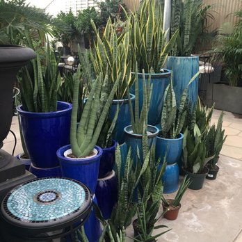 Griggs Nursery - Nurseries & Gardening Near Me - Carmel-by-the-sea, California