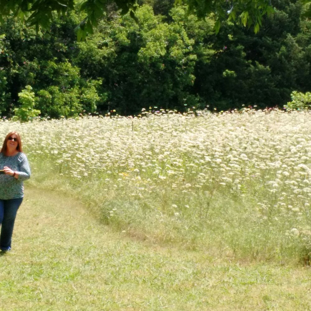 Lakewood Park - A field full flowers with a very sweet fragrance. - Parks Near Me - Dallas, Texas