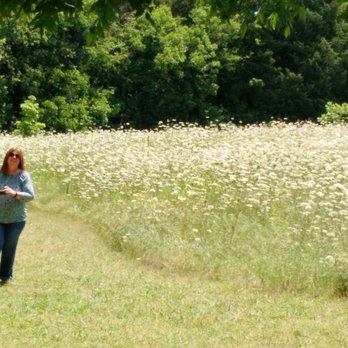 Lakewood Park - A field full flowers with a very sweet fragrance. - Parks Near Me - Dallas, Texas Lakewood Park - A field full flowers with a very sweet fragrance. - Parks Near Me - Dallas, Texas