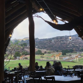 Watering Hole - View - American Near Me - Escondido, California Watering Hole - View - American Near Me - Escondido, California