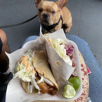 El Club de Nana - Veterinarians Near Me - Tijuana, BCN