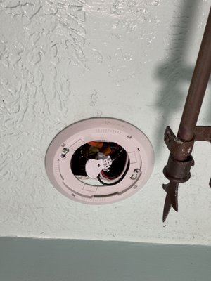 Hale Kai Hawaii Suites - Oceanfront Hilo Lodging by null