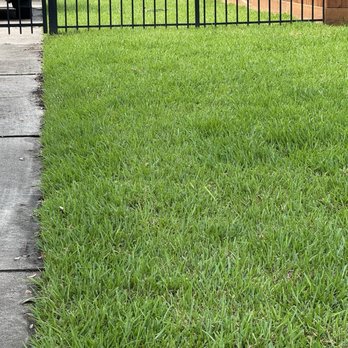 Absolute Lawn Care and Landscaping - Side yard, freshly sodded - Landscaping Near Me - Houston, Texas Absolute Lawn Care and Landscaping - Side yard, freshly sodded - Landscaping Near Me - Houston, Texas
